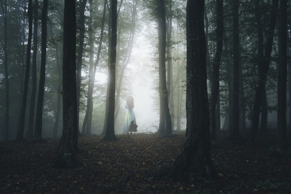 white dress girl in woods